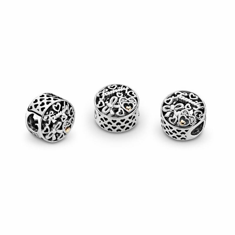 Pandora Australia Family Tribute Charm - Two Tone | EXIAGR529